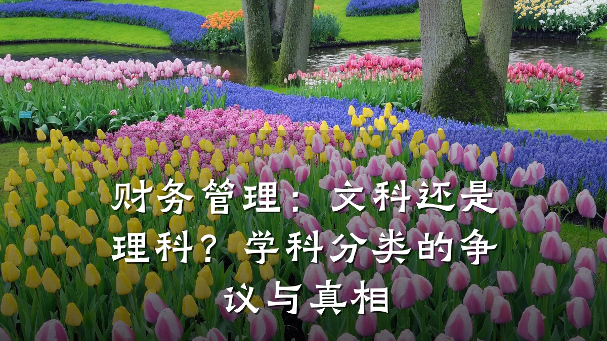 财务管理：文科还是理科？学科分类的争议与真相