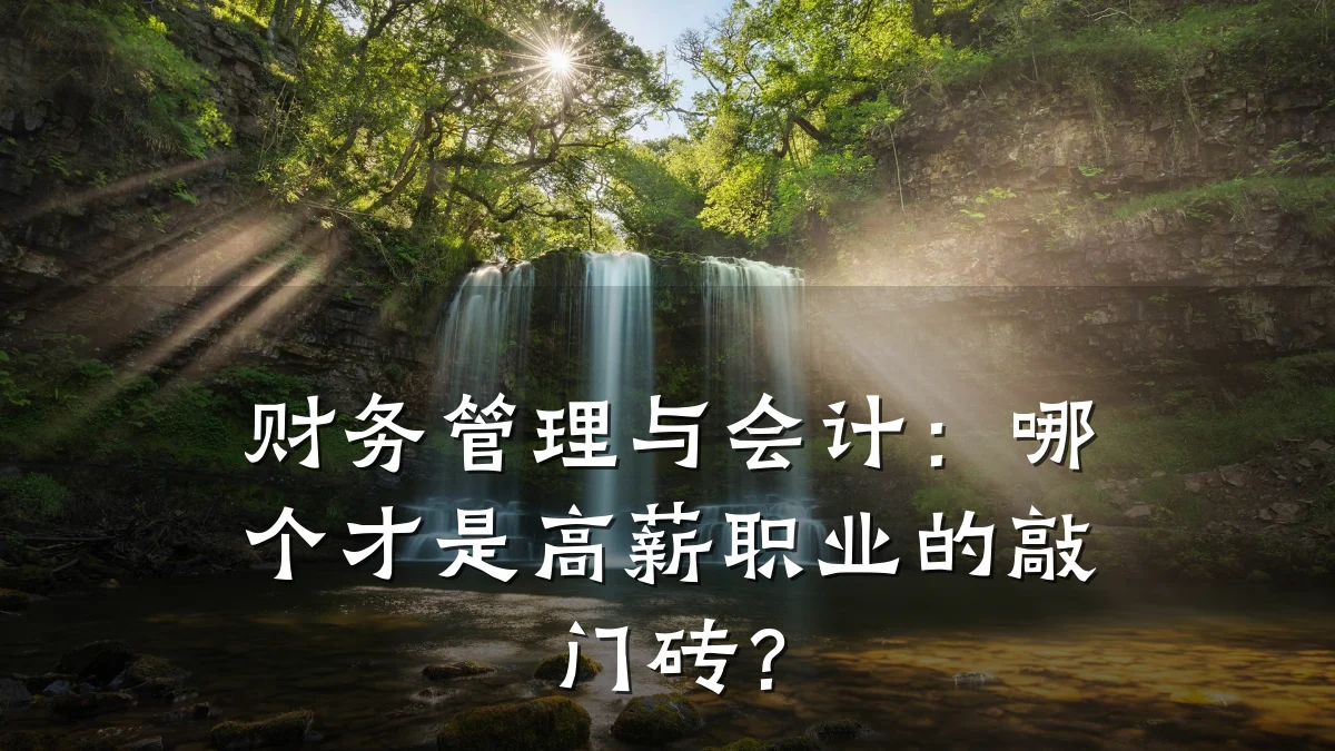 财务管理与会计:哪个才是高薪职业的敲门砖?