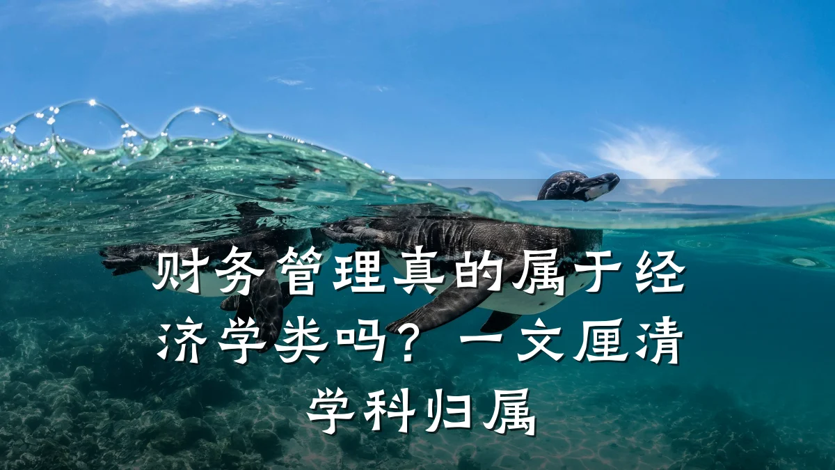 财务管理真的属于经济学类吗?一文厘清学科归属