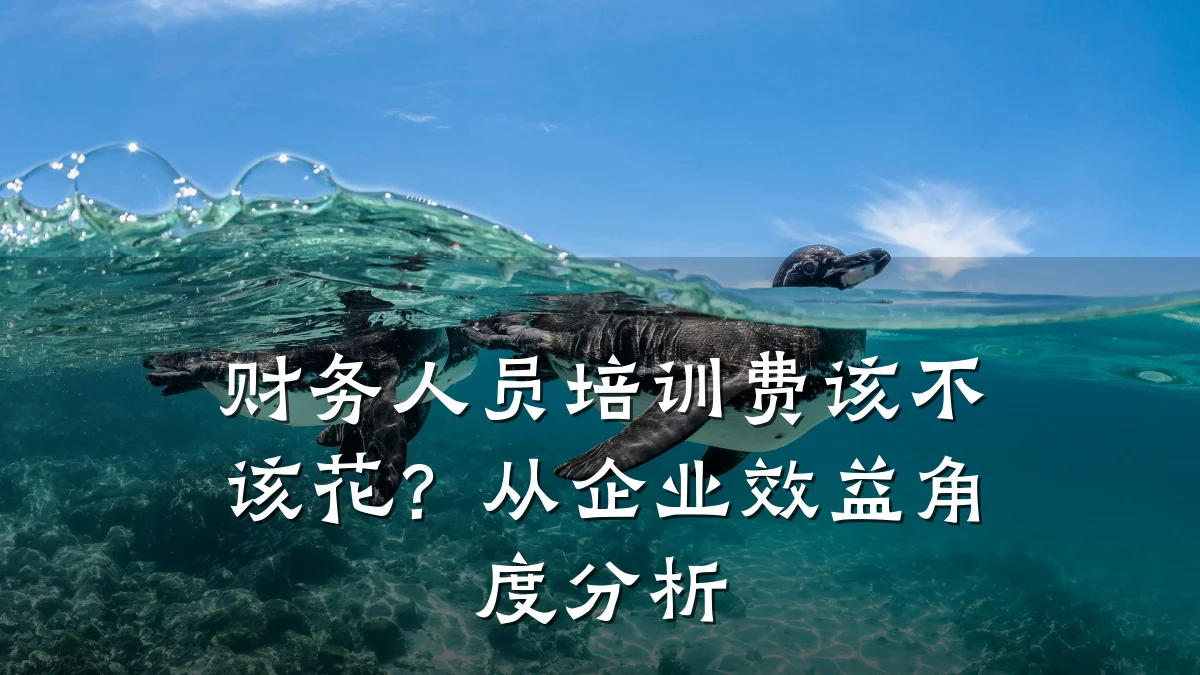 财务人员培训费该不该花?从企业效益角度分析