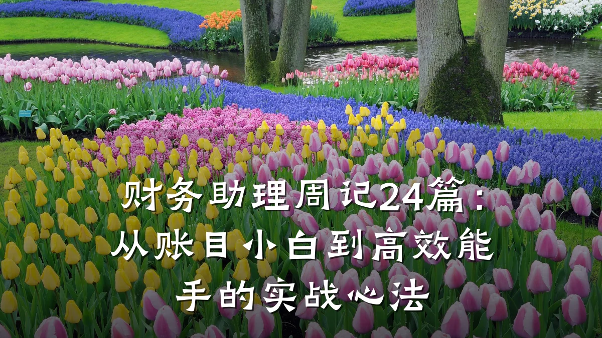 财务助理周记24篇:从账目小白到高效能手的实战心法