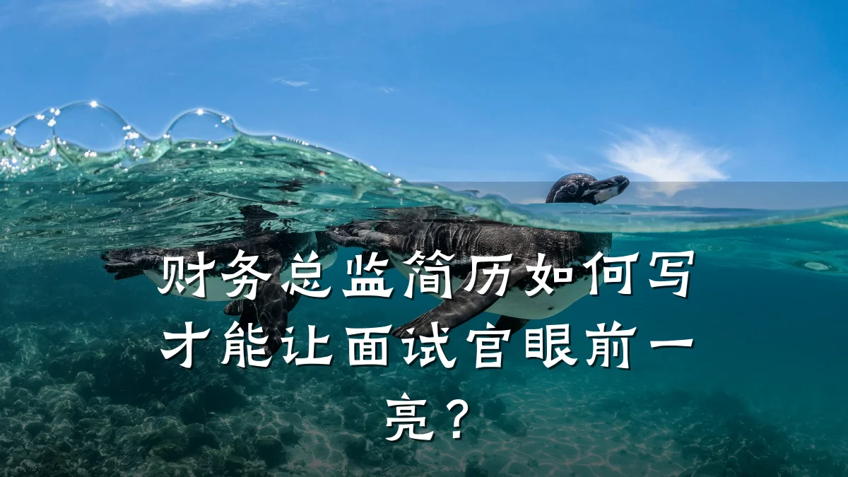 财务总监简历如何写才能让面试官眼前一亮?