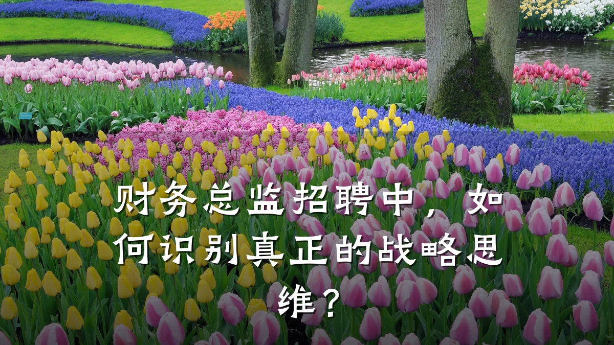 财务总监招聘中,如何识别真正的战略思维?