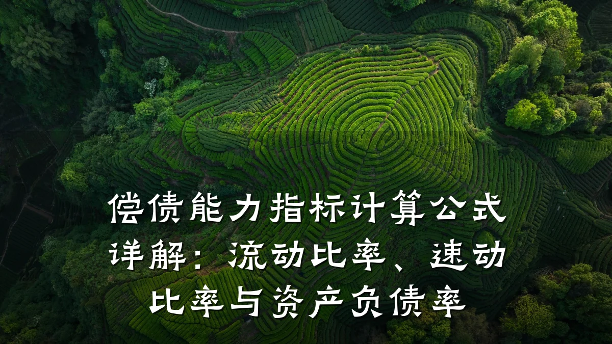 偿债能力指标计算公式详解：流动比率、速动比率与资产负债率