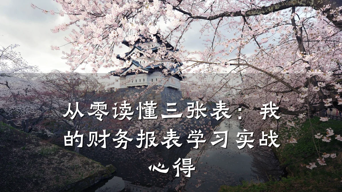 从零读懂三张表:我的财务报表学习实战心得