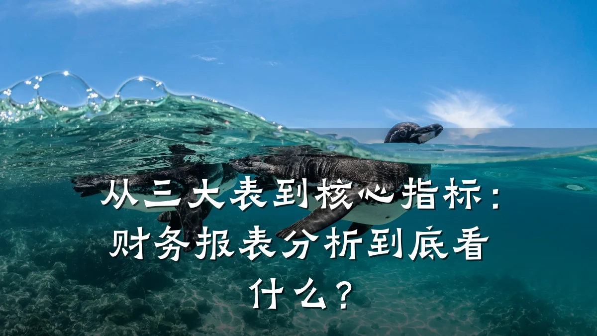 从三大表到核心指标:财务报表分析到底看什么?