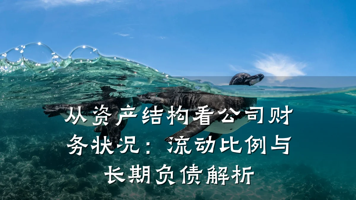 从资产结构看公司财务状况:流动比例与长期负债解析