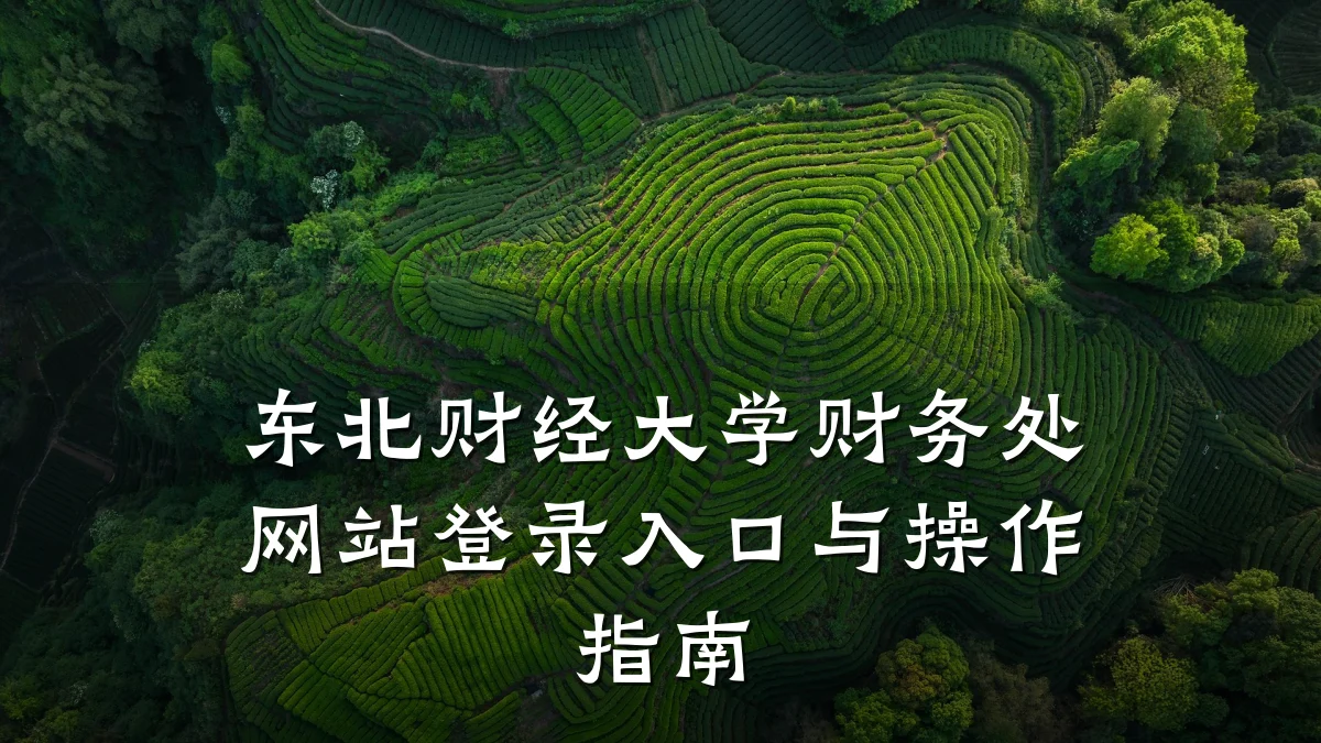 东北财经大学财务处网站登录入口与操作指南