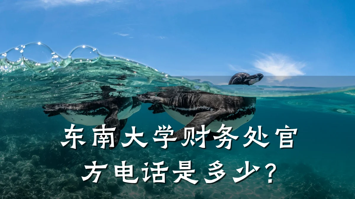 东南大学财务处官方电话是多少?