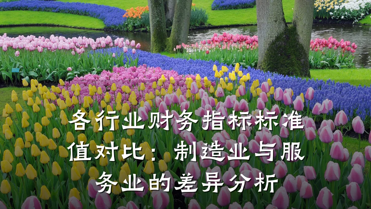 各行业财务指标标准值对比:制造业与服务业的差异分析