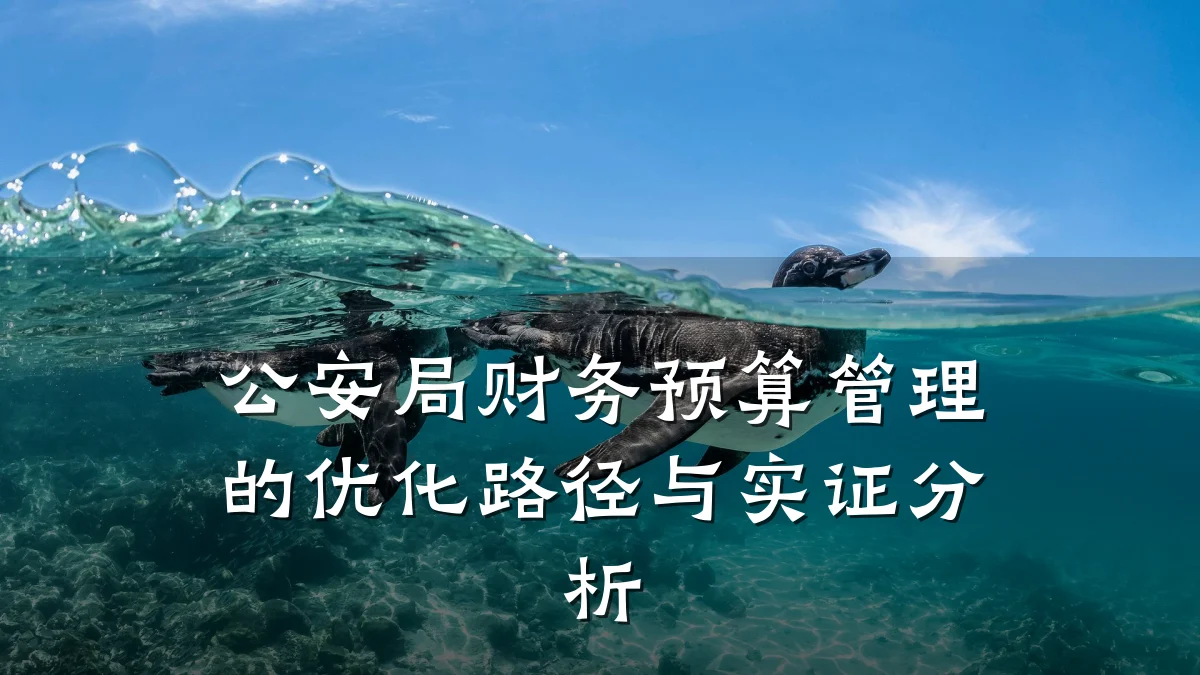 公安局财务预算管理的优化路径与实证分析