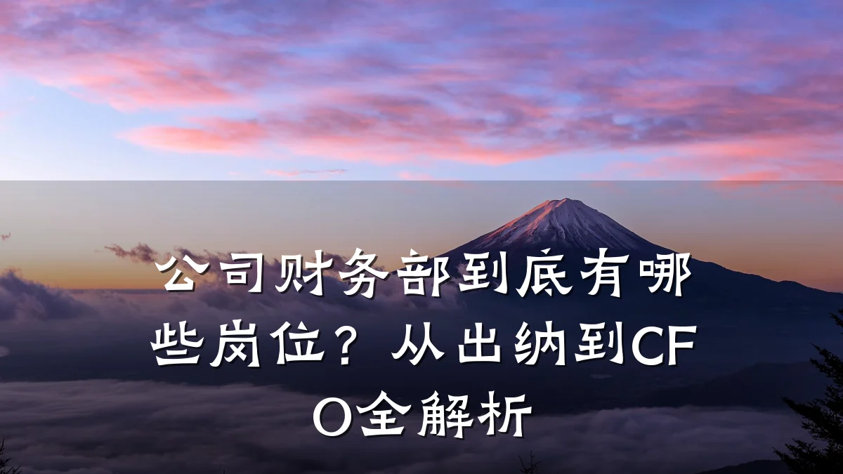 公司财务部到底有哪些岗位?从出纳到CFO全解析
