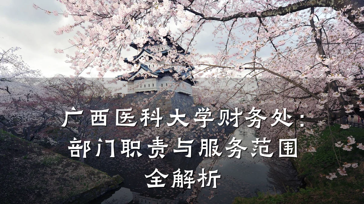 广西医科大学财务处：部门职责与服务范围全解析