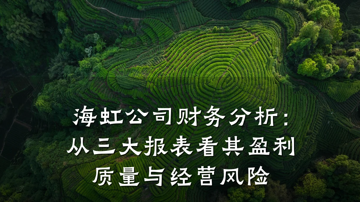 海虹公司财务分析:从三大报表看其盈利质量与经营风险