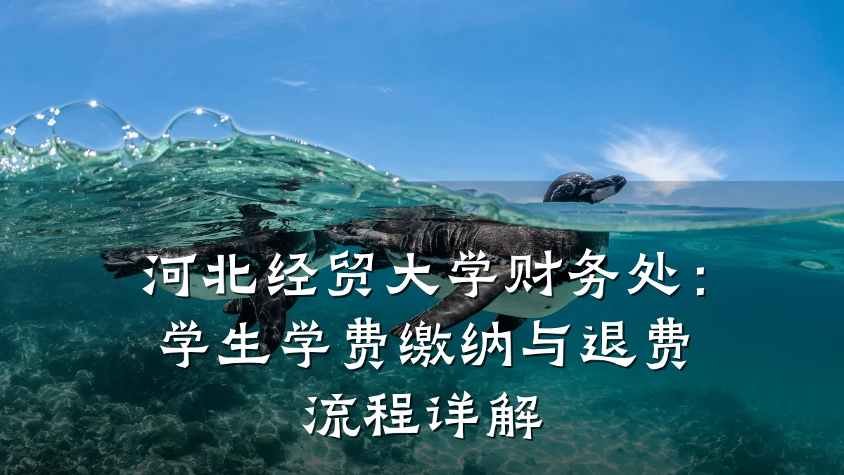 河北经贸大学财务处:学生学费缴纳与退费流程详解