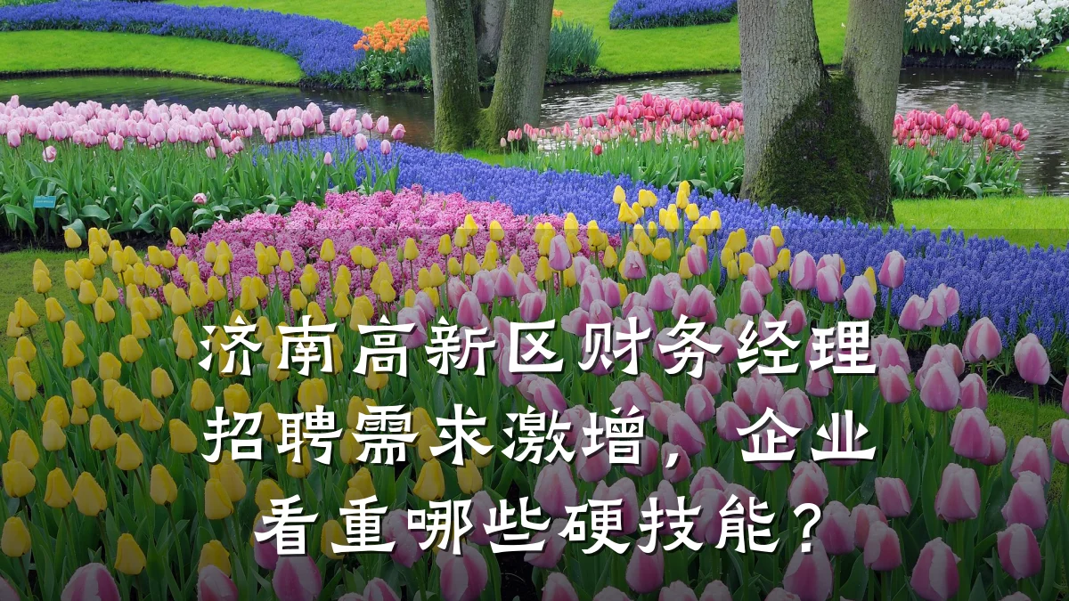 济南高新区财务经理招聘需求激增,企业看重哪些硬技能?