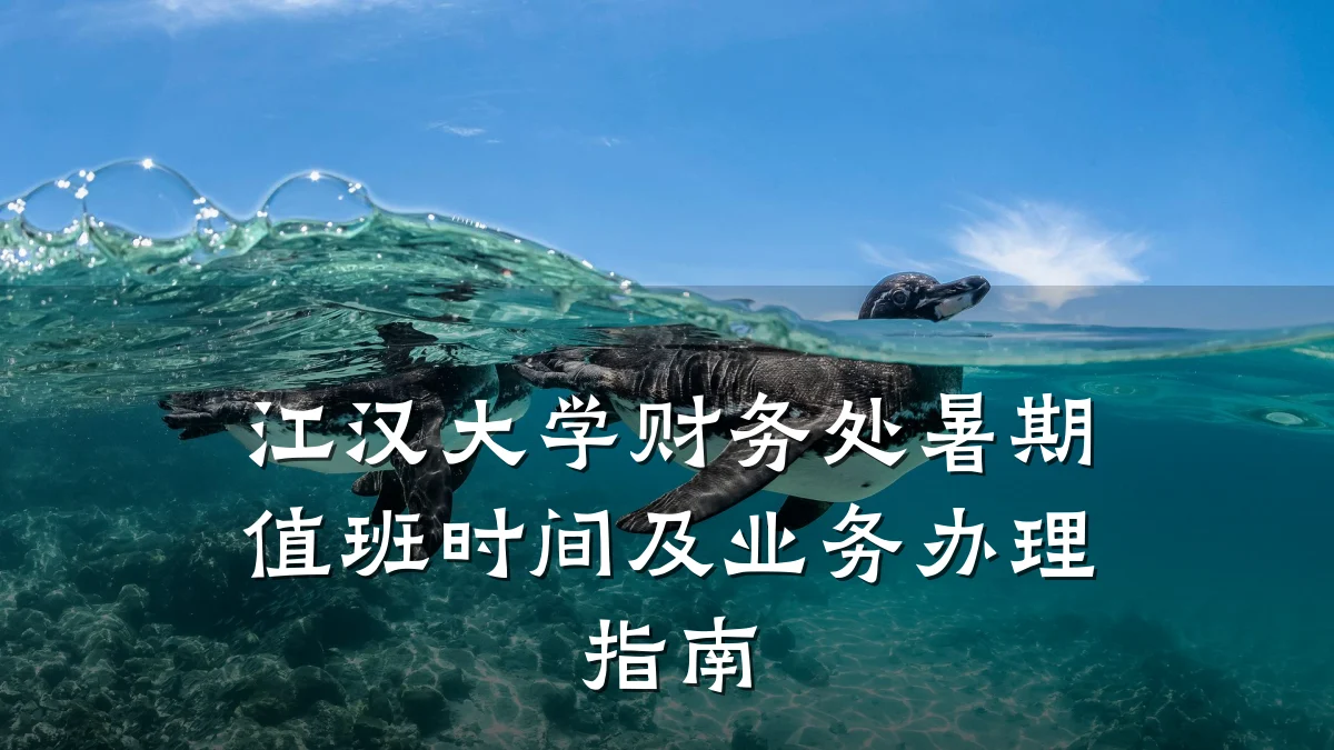 江汉大学财务处暑期值班时间及业务办理指南