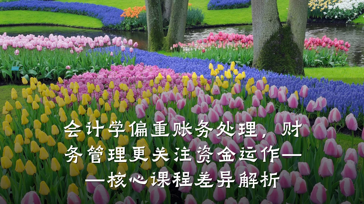 会计学偏重账务处理,财务管理更关注资金运作——核心课程差异解析