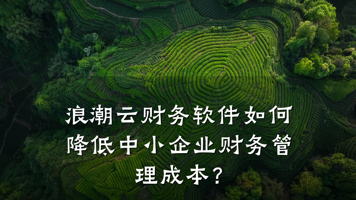 浪潮云财务软件如何降低中小企业财务管理成本?