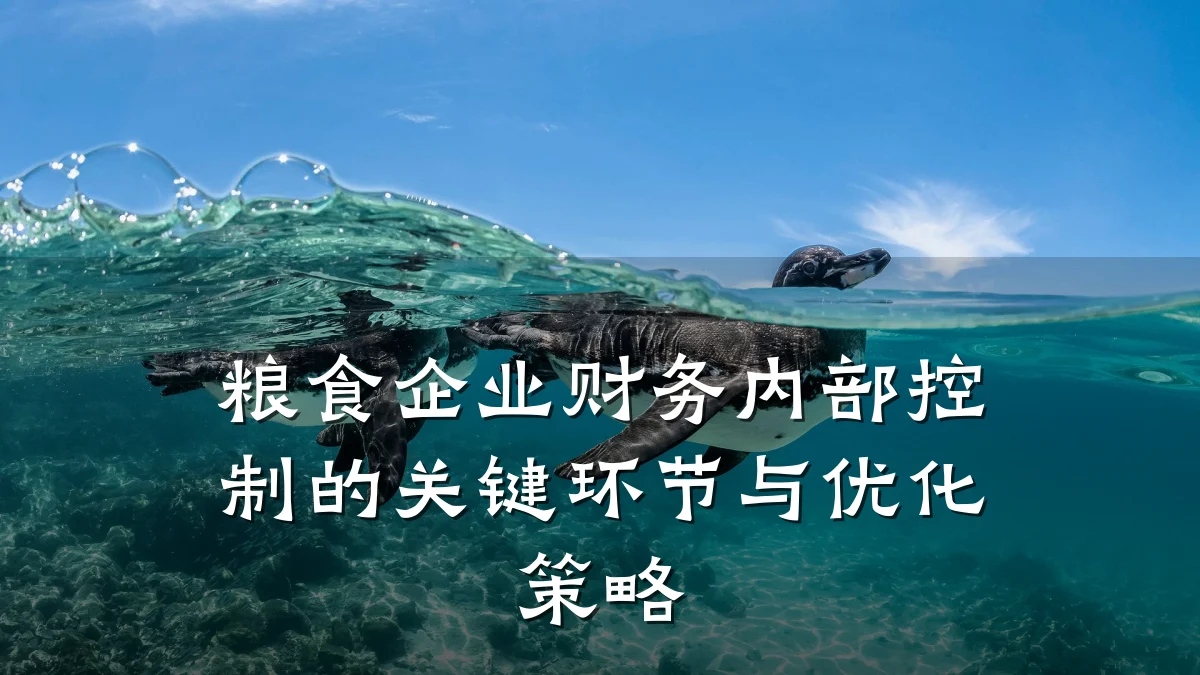 粮食企业财务内部控制的关键环节与优化策略