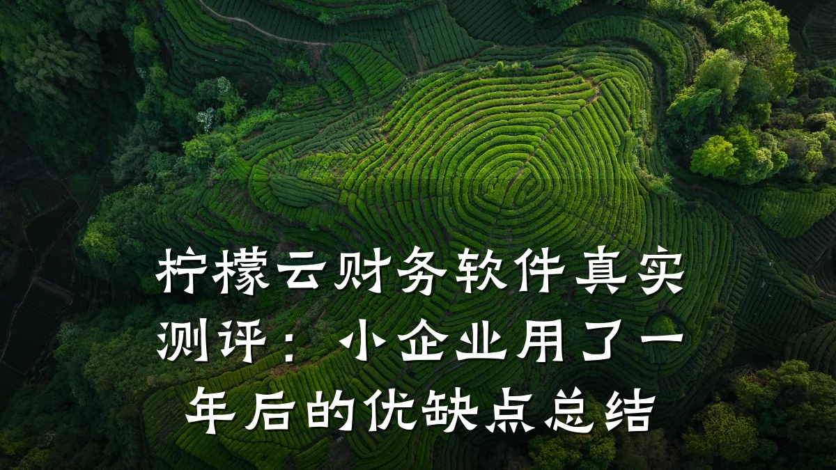 柠檬云财务软件真实测评：小企业用了一年后的优缺点总结