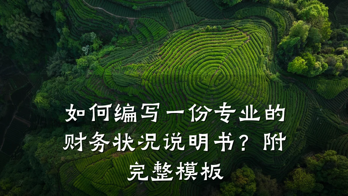 如何编写一份专业的财务状况说明书?附完整模板