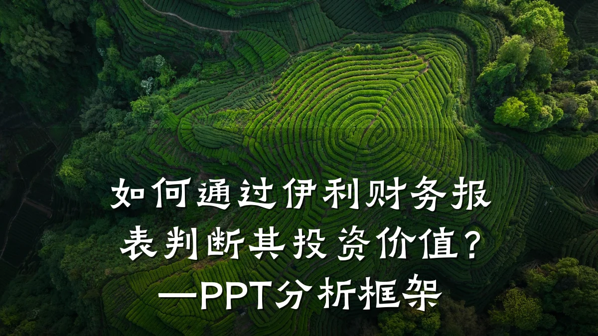 如何通过伊利财务报表判断其投资价值?—PPT分析框架