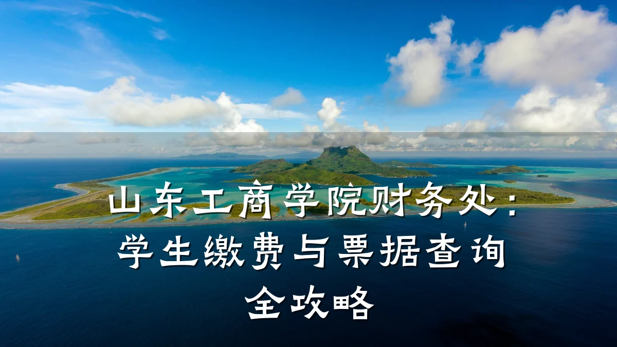 山东工商学院财务处:学生缴费与票据查询全攻略