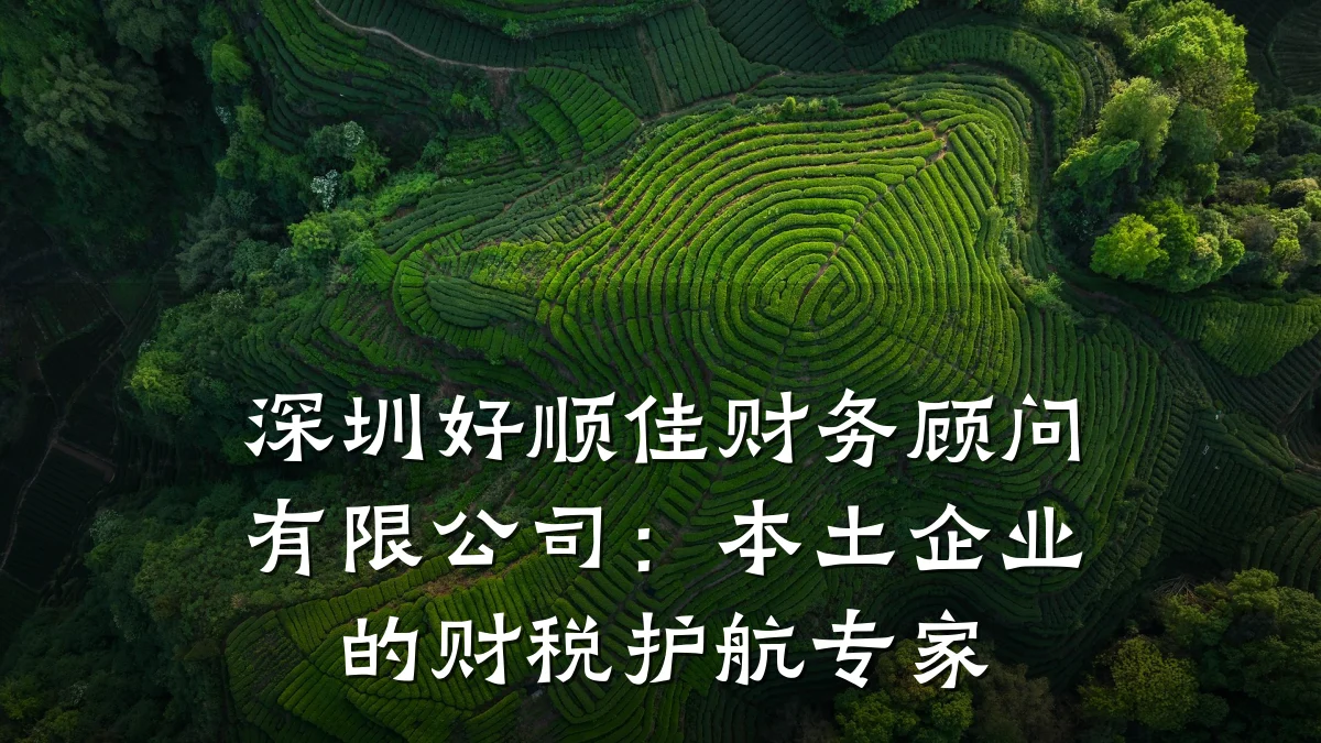 深圳好顺佳财务顾问有限公司:本土企业的财税护航专家