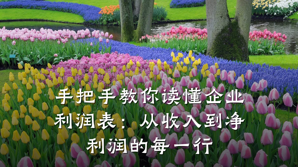 手把手教你读懂企业利润表:从收入到净利润的每一行