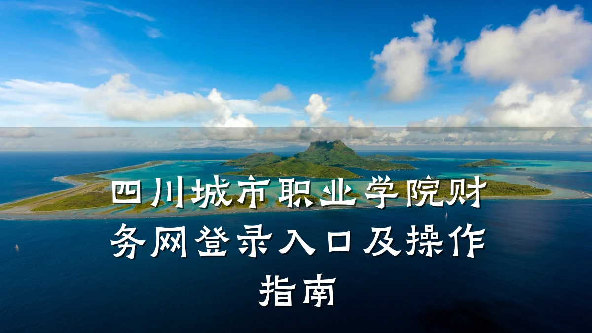 四川城市职业学院财务网登录入口及操作指南