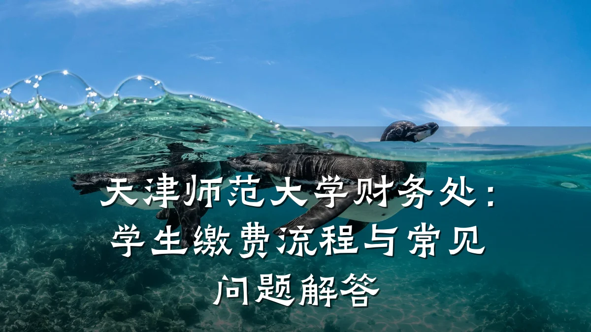 天津师范大学财务处:学生缴费流程与常见问题解答