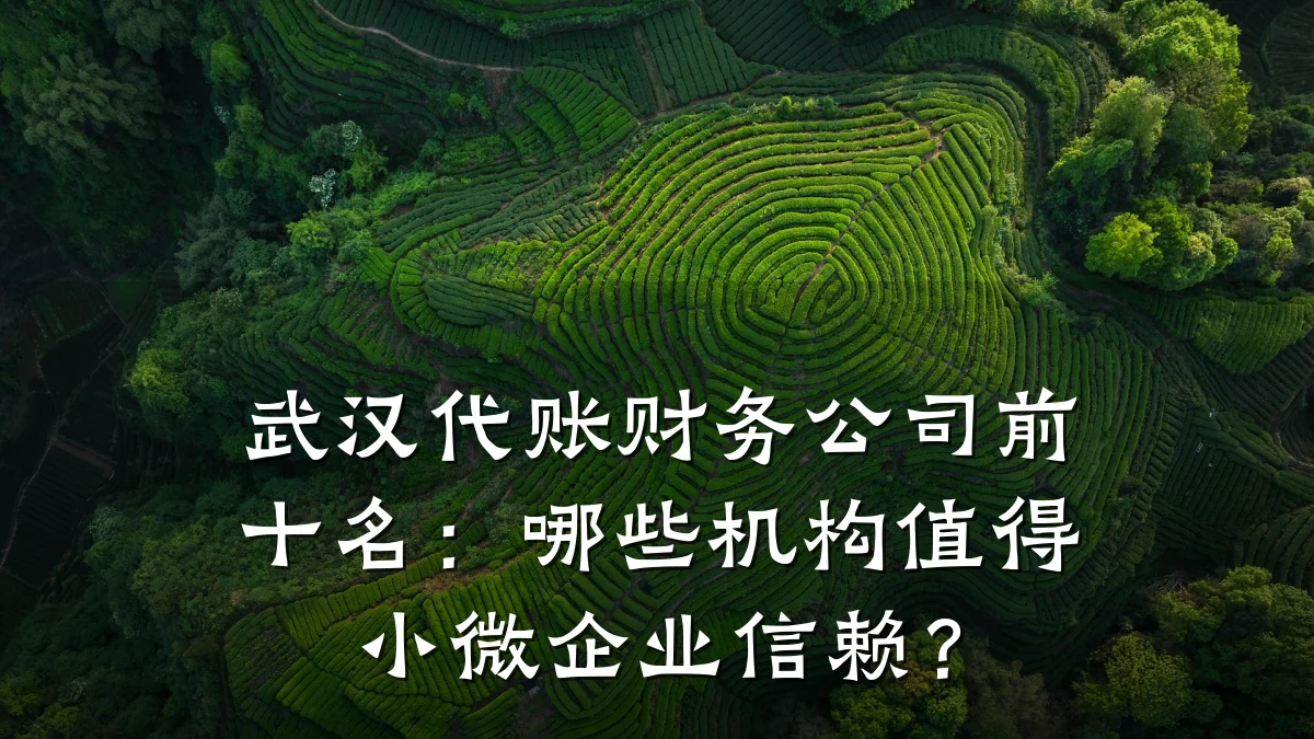 武汉代账财务公司前十名:哪些机构值得小微企业信赖?