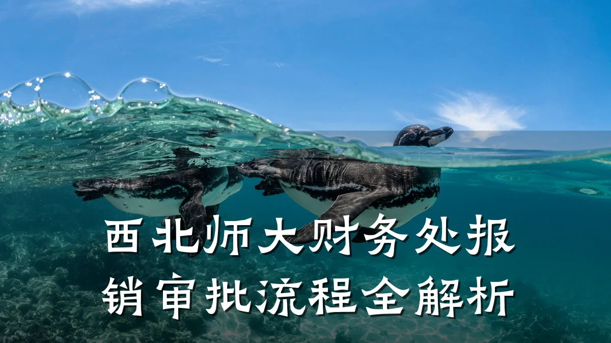 西北师大财务处报销审批流程全解析