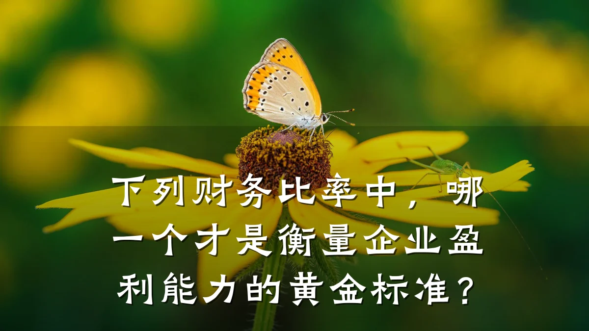 下列财务比率中,哪一个才是衡量企业盈利能力的黄金标准?