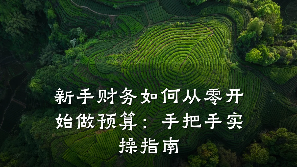 新手财务如何从零开始做预算:手把手实操指南
