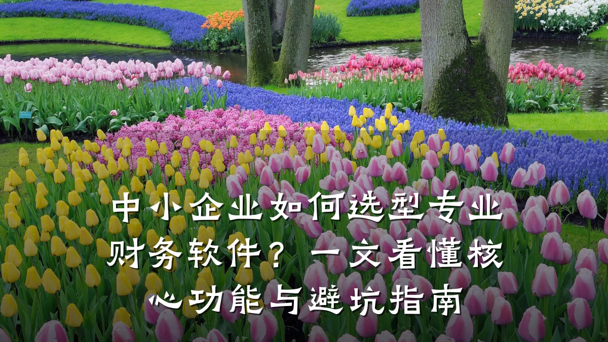 中小企业如何选型专业财务软件?一文看懂核心功能与避坑指南