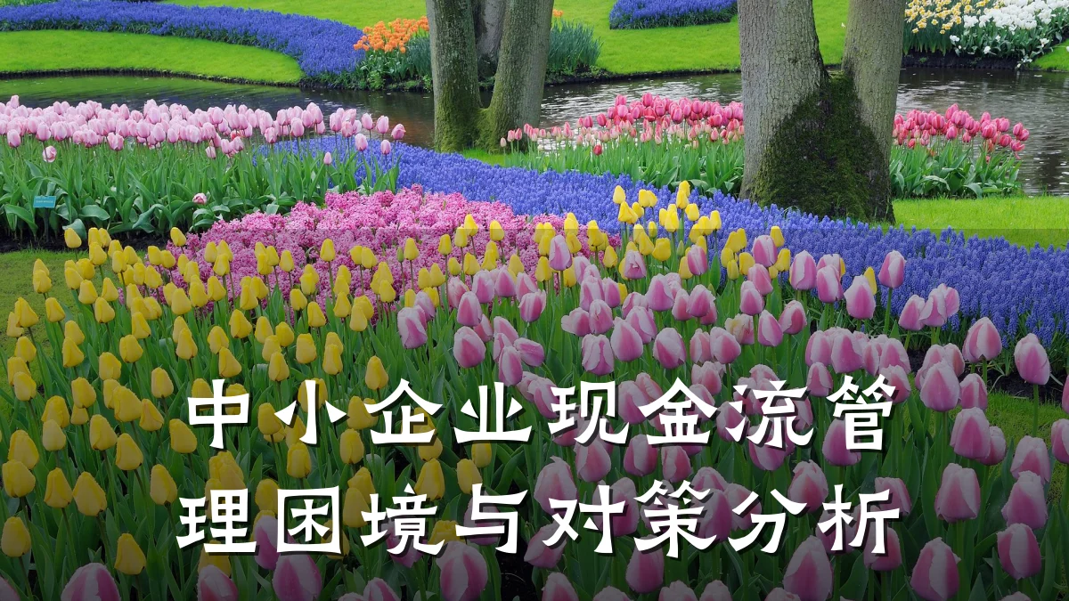 中小企业现金流管理困境与对策分析