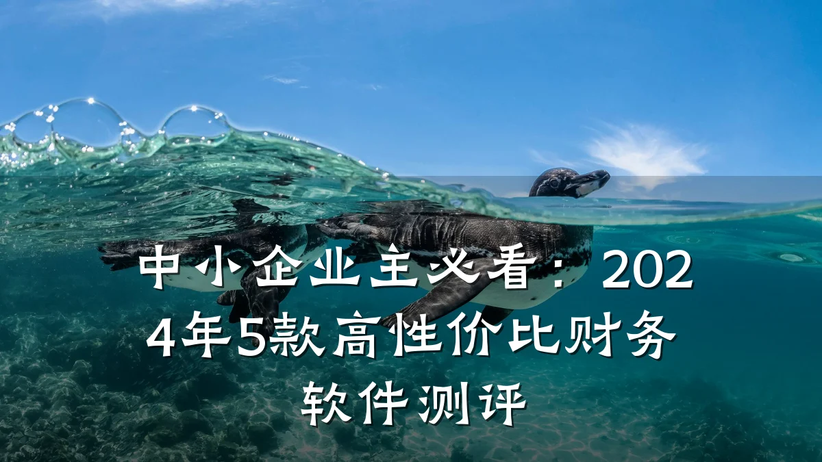 中小企业主必看:2024年5款高性价比财务软件测评