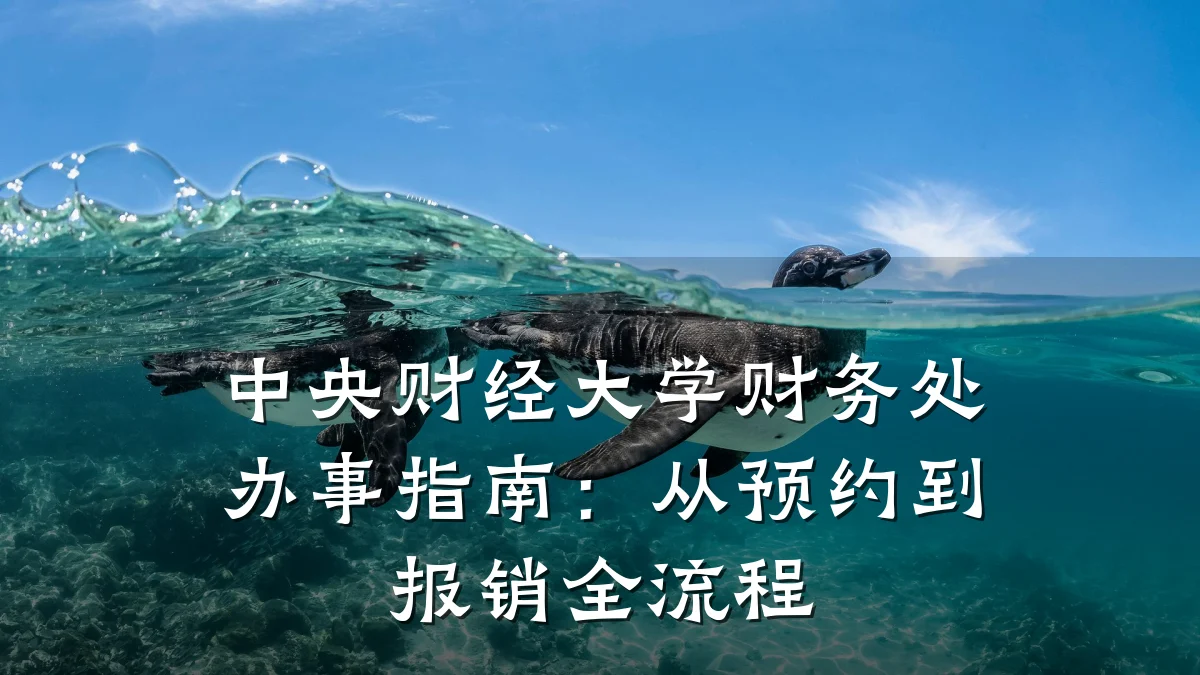 中央财经大学财务处办事指南:从预约到报销全流程