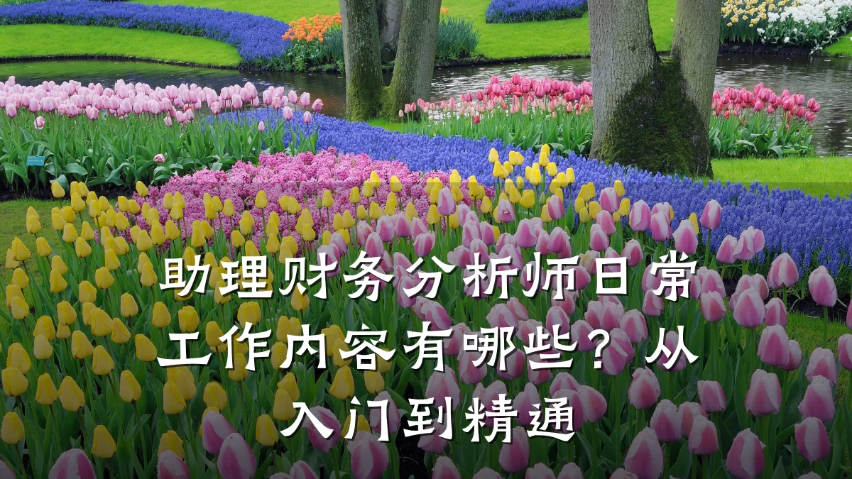 助理财务分析师日常工作内容有哪些?从入门到精通