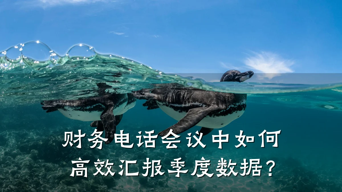 财务电话会议中如何高效汇报季度数据?
