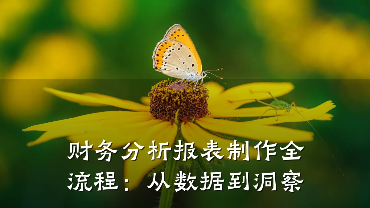 财务分析报表制作全流程:从数据到洞察