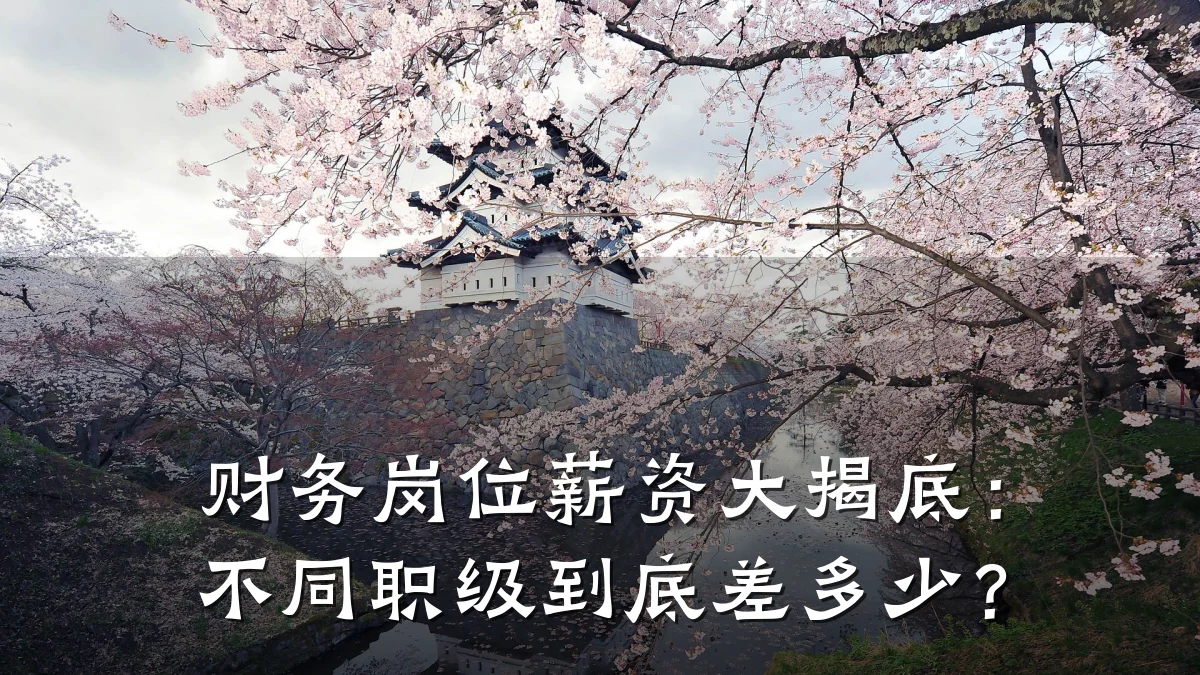 财务岗位薪资大揭底：不同职级到底差多少？