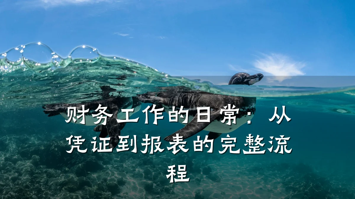 财务工作的日常:从凭证到报表的完整流程
