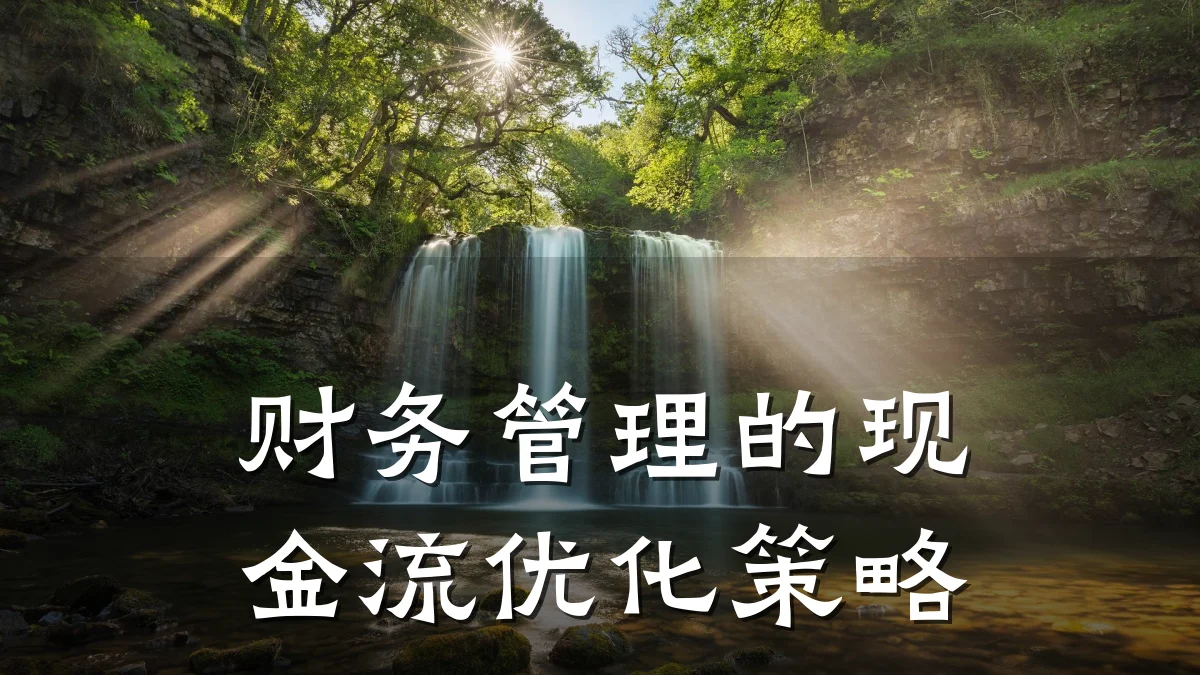财务管理的现金流优化策略