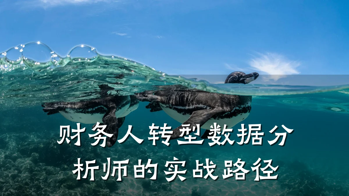 财务人转型数据分析师的实战路径