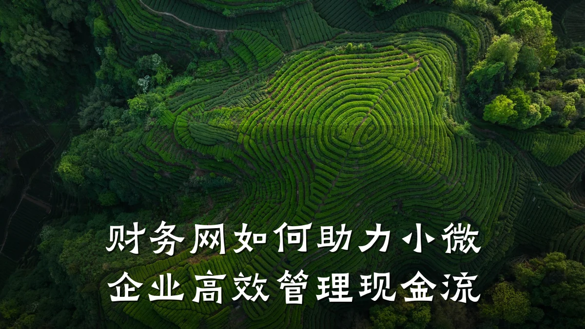 财务网如何助力小微企业高效管理现金流