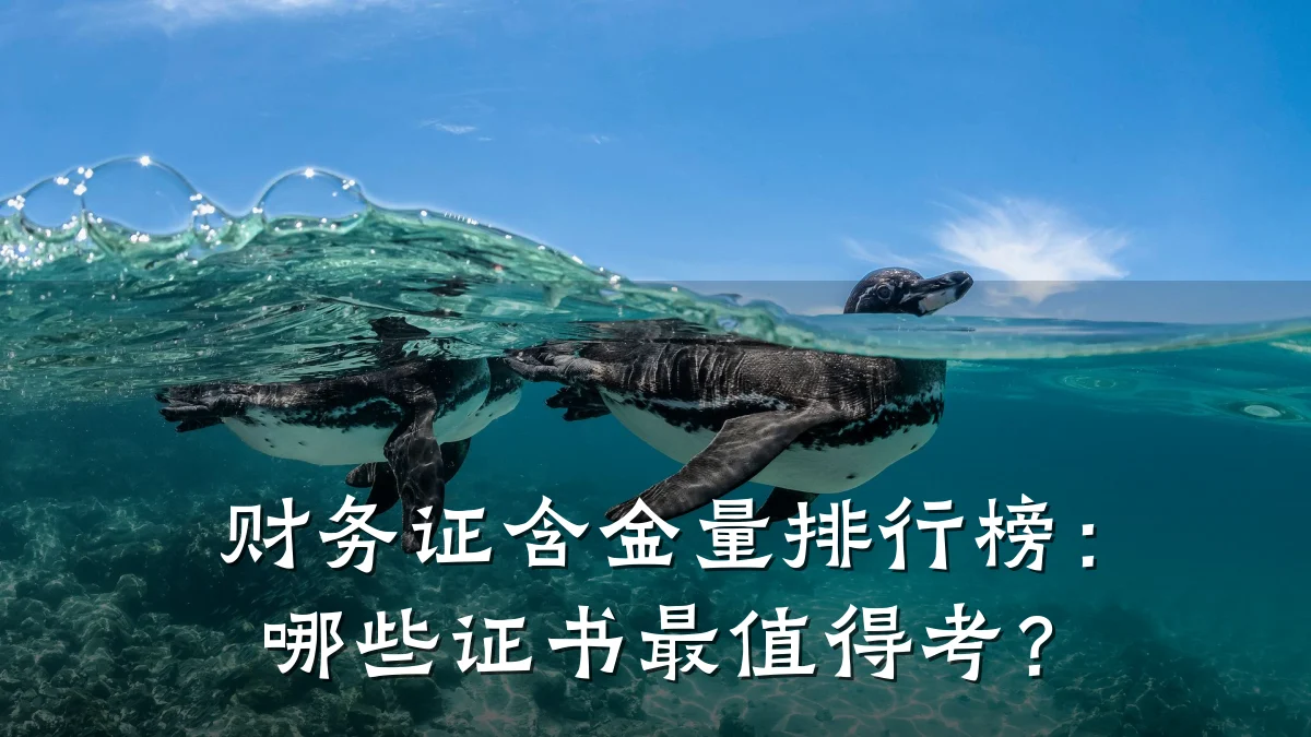 财务证含金量排行榜:哪些证书最值得考?