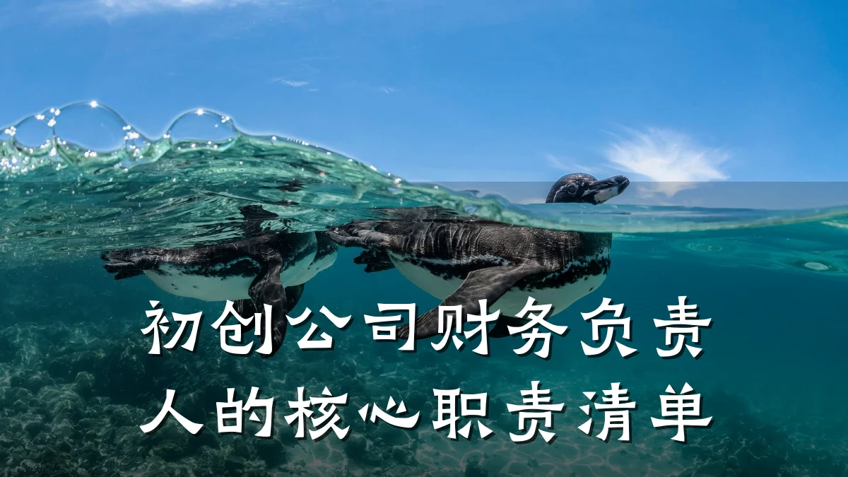 初创公司财务负责人的核心职责清单
